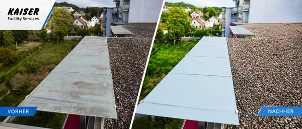 Glasdachreinigung in Schaffhausen